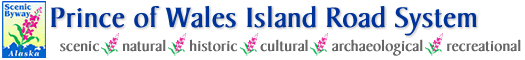 Prince of Wales Island Road System